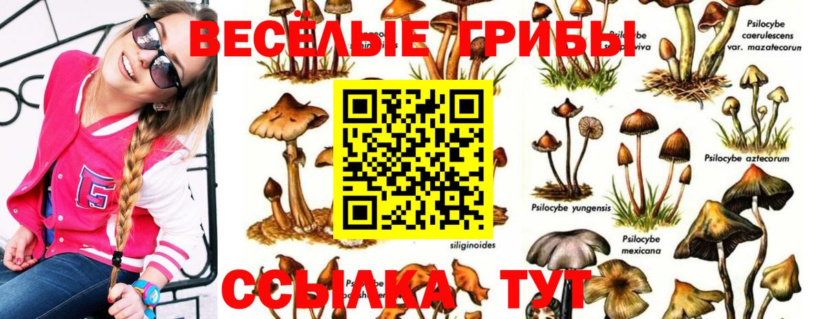 Галлюциногенные грибы Magic Shrooms Советск