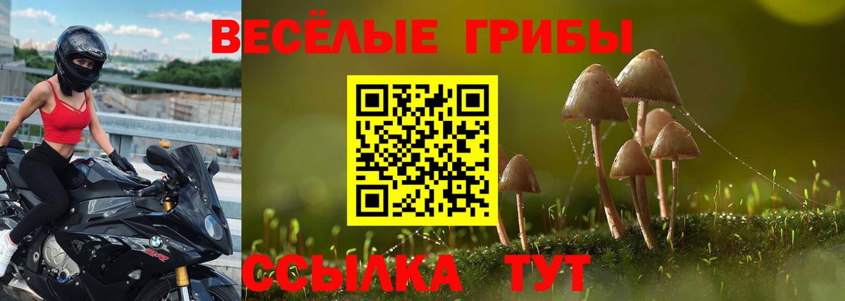 Советск  Псилоцибиновые грибы GOLDEN TEACHER  что такое   Вход с VPN  Псилоцибиновые грибы MAGIC MUSHROOMS 